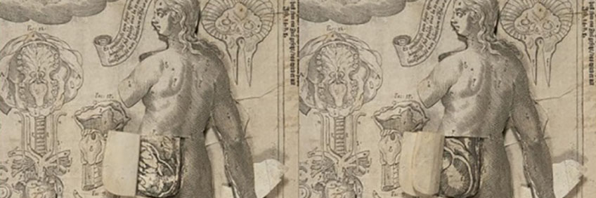 digitised flipbook header